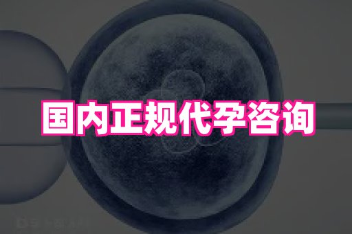 69助孕网 1