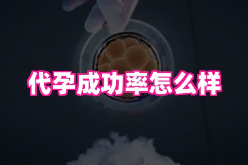 69助孕网 2